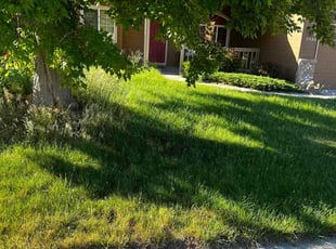 Cleanups by Emmanuel Nsengimana for Cassie H. in Boise, ID