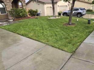 Stuart W.'s Lawn Service service result