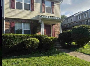 Debra H.'s Bush Trimming service result