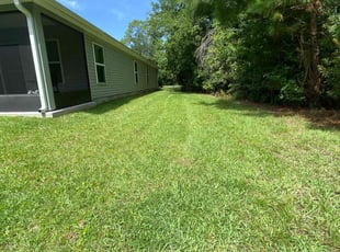 Randy P.'s Lawn Mowing service result