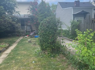 Bush Trimming by JOHN WHEELER for Christina B. in Louisville, KY