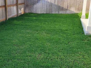 Clarissa K.'s Lawn Mowing Service service result
