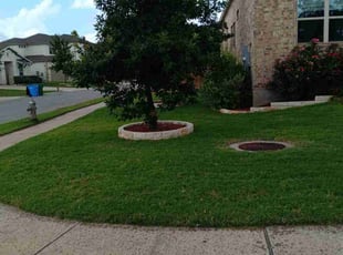 Joseph B.'s Lawn Mowing service result