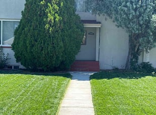 Chelsea V.'s Lawn Service service result