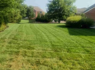 Alex V.'s Lawn Service service result