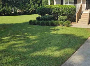 Rushia C.'s Bush Trimming service result