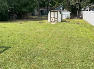 Shannon M.'s Lawn Mowing service result