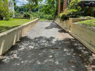 Leaf Removal by Paul Wright for R.E. D. in Washington, DC
