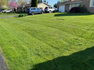Tiffany N.'s Lawn Mowing Service service result