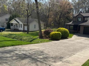 Cyndi C.'s Lawn Care service result