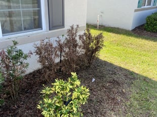 Weeding by Robert Johnson for Autumn A. in Winter Haven, FL
