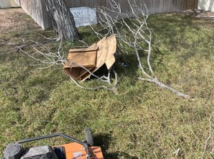 Bush Trimming by Heriberto Lopez for Tyko M. in Corpus Christi, TX