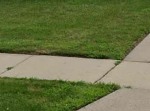 Eric K.'s Lawn Mowing Service service result
