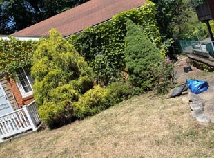 Bush Trimming by Jeremy Johnson for Patricia D. in Pittsburgh, PA