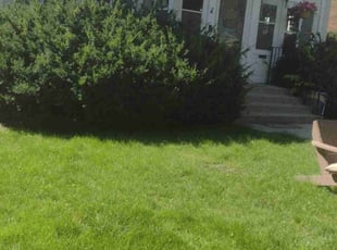 Bush Trimming by Matt Anderson for Andrea H. in Minneapolis, MN