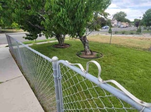 Cameron P.'s Grass Cutting service result