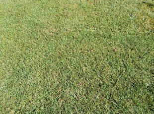 Linda J.'s Lawn Service service result
