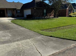 Brad B.'s Yard Cutting service result