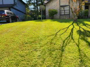 Aundria L.'s Lawn Maintenance service result