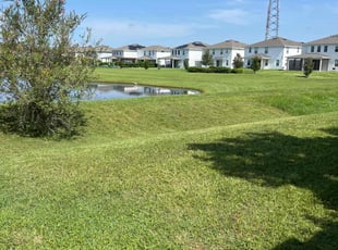 Jonathan B.'s Lawn Mowing Service service result