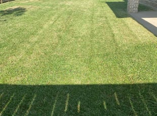 Deleeshus L.'s Lawn Mowing Service service result