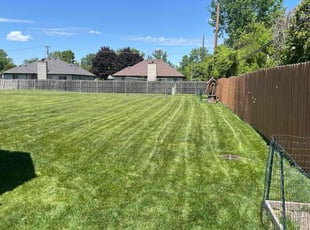 Khalilah S.'s Lawn Care service result