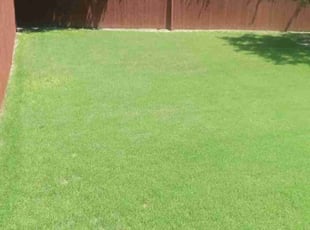 Tamica R.'s Lawn Mowing Service service result