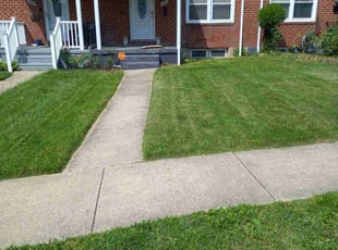 Elizabeth A.'s Lawn Maintenance service result