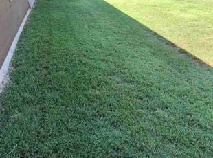 Sara O.'s Lawn Service service result