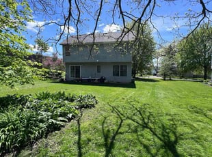 Vanessa L.'s Yard Cutting service result
