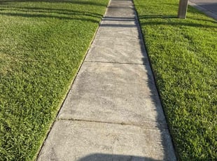 Krish S.'s Lawn Mowing service result