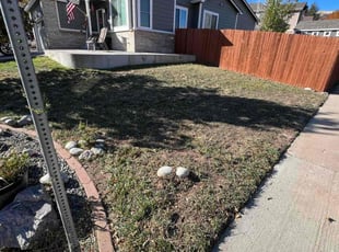 Leaf Removal by David Williams for JJ . in Littleton, CO