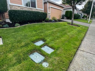 Alyssa M.'s Grass Cutting service result