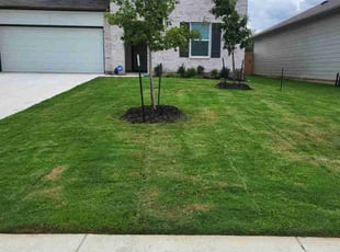 Chrissie W.'s Lawn Mowing service result