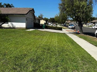 Mark D.'s Lawn Mowing service result