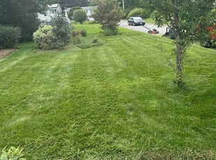 Alvin R.'s Lawn Maintenance service result