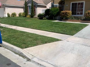 samuel b.'s Yard Cutting service result