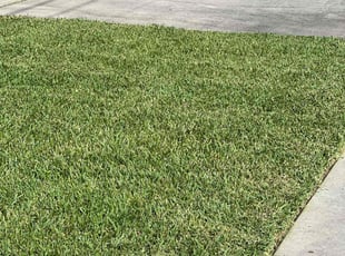 Karen S.'s Grass Cutting service result