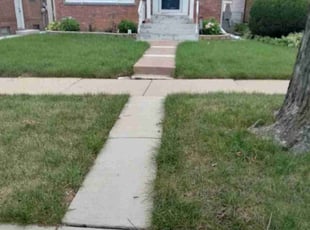 Sandra M.'s Yard Cutting service result