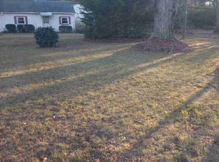 Cleanups by Titus Hayes for Teresa J. in Glen Allen, VA