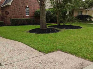Maryam L.'s Lawn Care service result