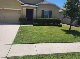 Bush Trimming by Felix Reventos for Briceson L. in Winter Haven, FL