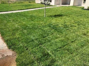 Robin P.'s Lawn Mowing service result