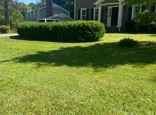 Vamsikrishna K.'s Lawn Mowing service result