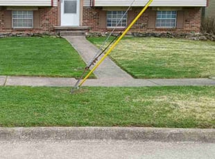 Tristan H.'s Lawn Mowing Service service result
