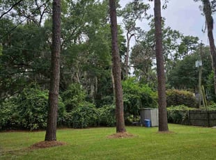 Danny L.'s Yard Cutting service result