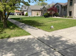 Adetutu A.'s Lawn Service service result