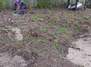 Cleanups by Tony Barr for Tiffany W. in Wichita, KS
