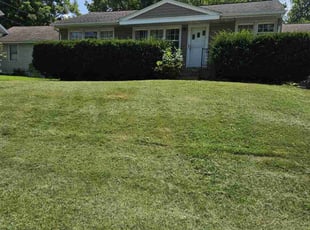 Amber M.'s Grass Cutting service result