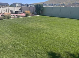 Melanie M.'s Lawn Care service result